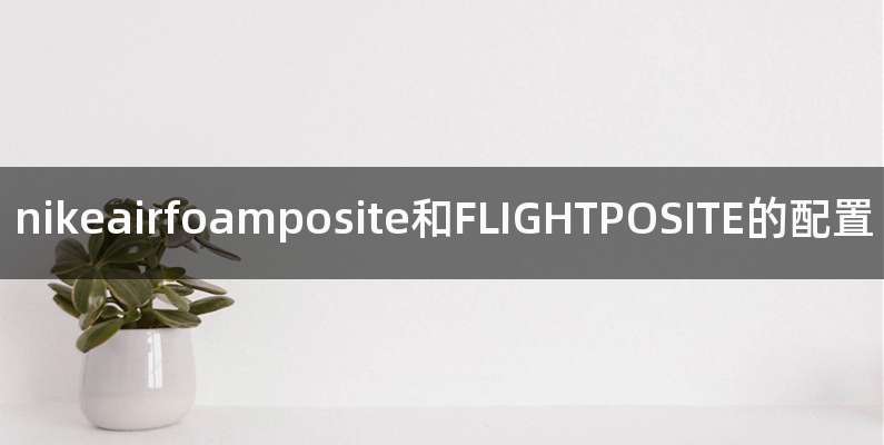 nikeairfoamposite和FLIGHTPOSITE的配置