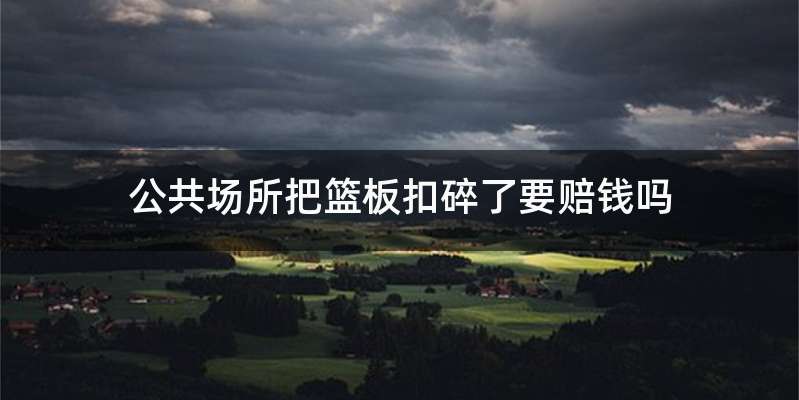 公共场所把篮板扣碎了要赔钱吗