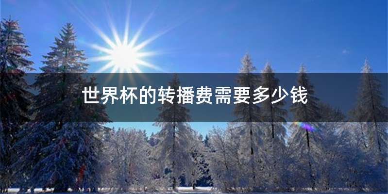 世界杯的转播费需要多少钱