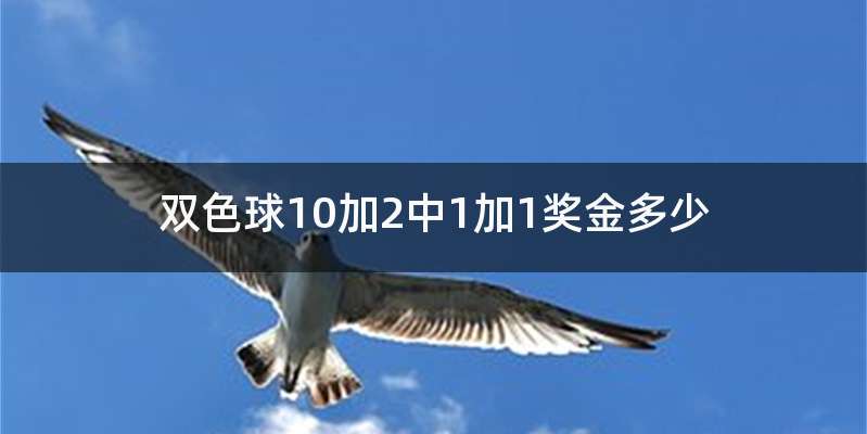 双色球10加2中1加1奖金多少