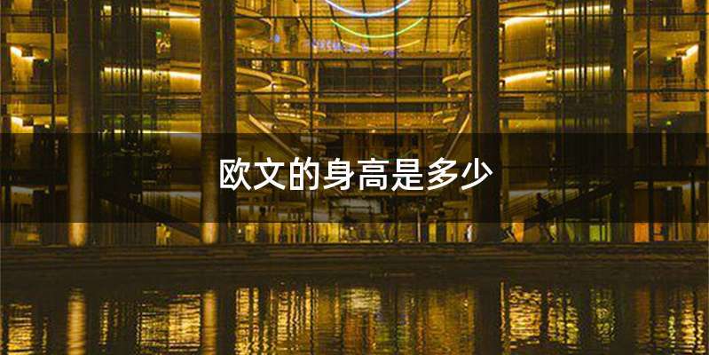 欧文的身高是多少