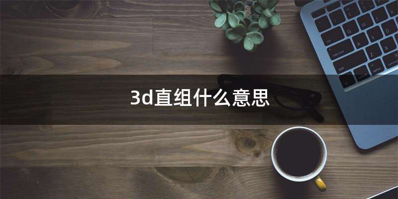 3d直组什么意思