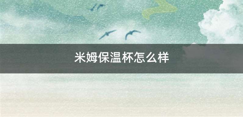 米姆保温杯怎么样