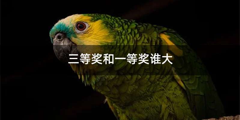 三等奖和一等奖谁大