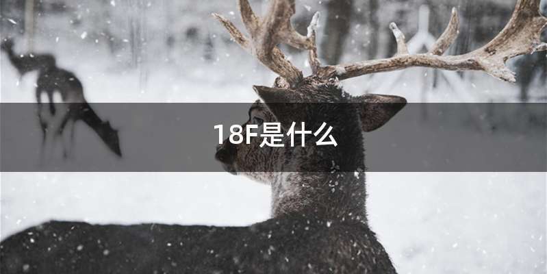 18F是什么