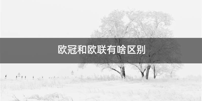 欧冠和欧联有啥区别
