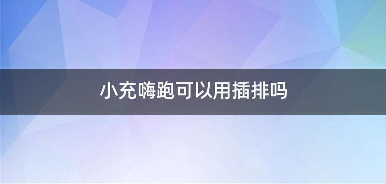 小充嗨跑可以用插排吗
