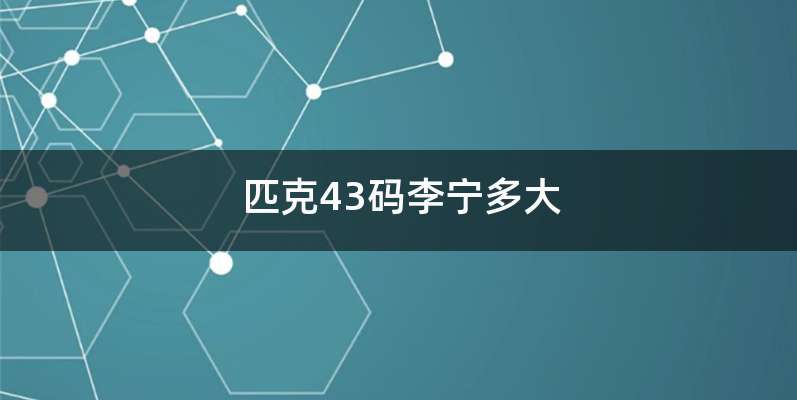 匹克43码李宁多大