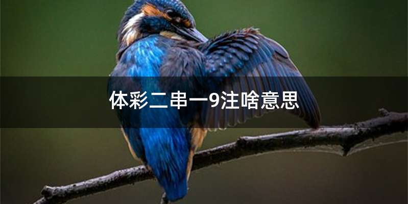 体彩二串一9注啥意思