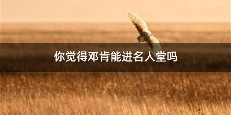 你觉得邓肯能进名人堂吗