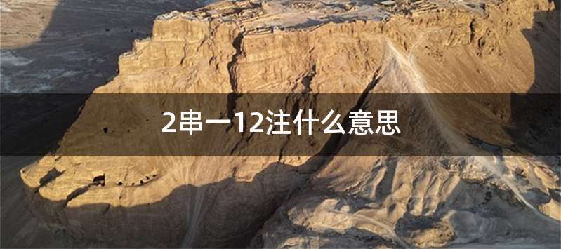 2串一12注什么意思