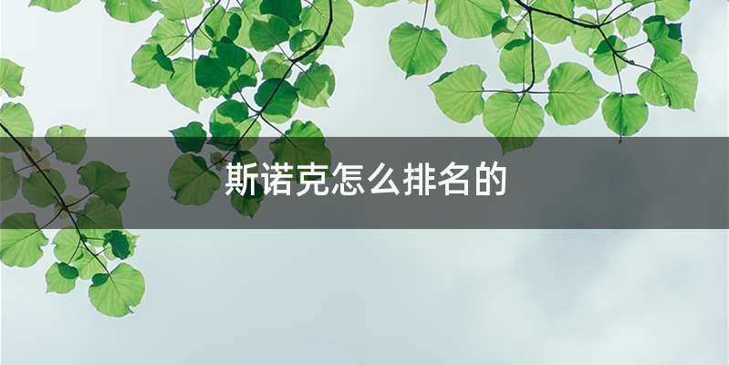 斯诺克怎么排名的