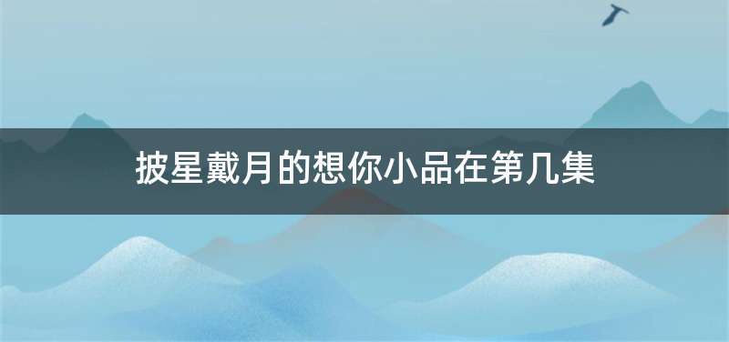 披星戴月的想你小品在第几集