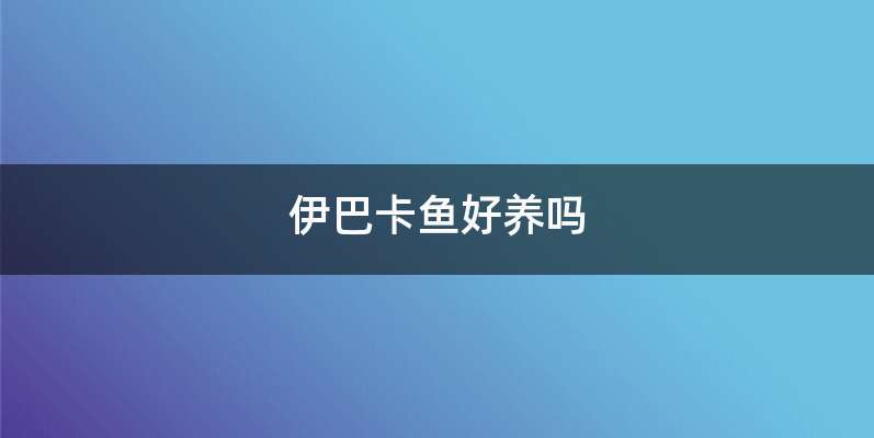 伊巴卡鱼好养吗