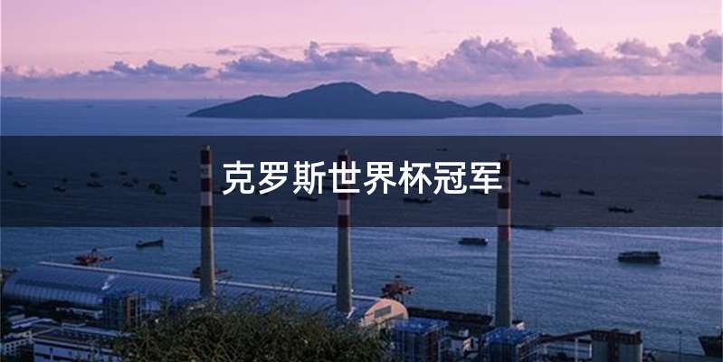 克罗斯世界杯冠军