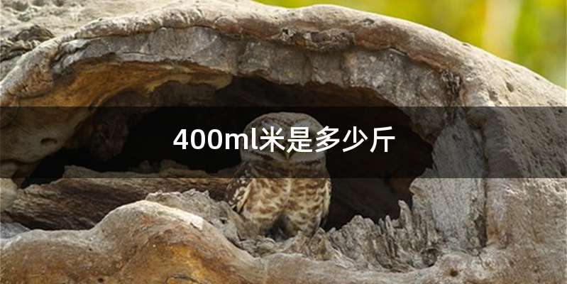 400ml米是多少斤
