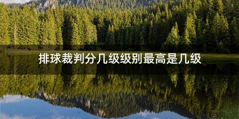 排球裁判分几级级别最高是几级