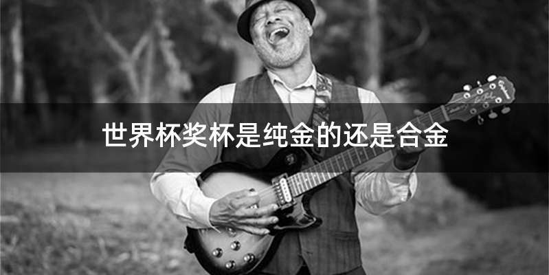 世界杯奖杯是纯金的还是合金