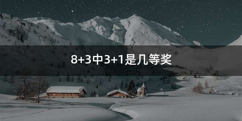8+3中3+1是几等奖