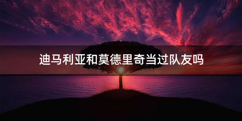 迪马利亚和莫德里奇当过队友吗