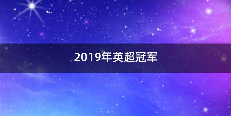 2019年英超冠军
