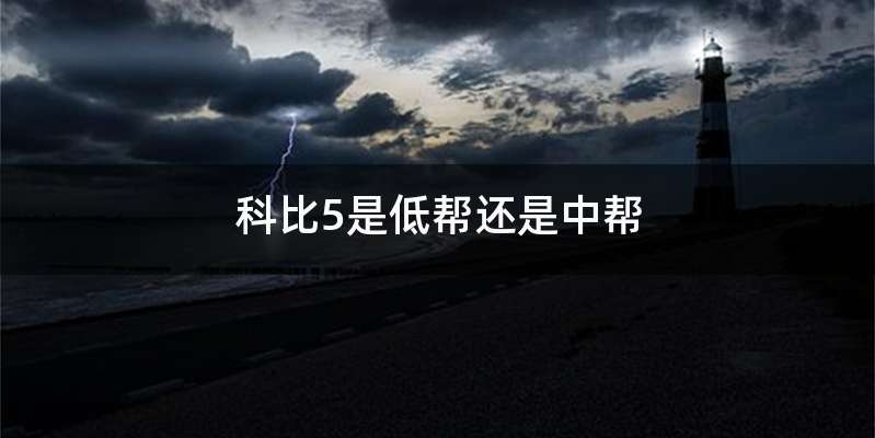 科比5是低帮还是中帮