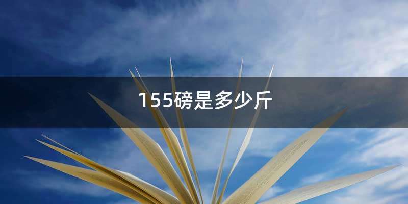 155磅是多少斤