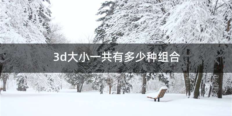 3d大小一共有多少种组合