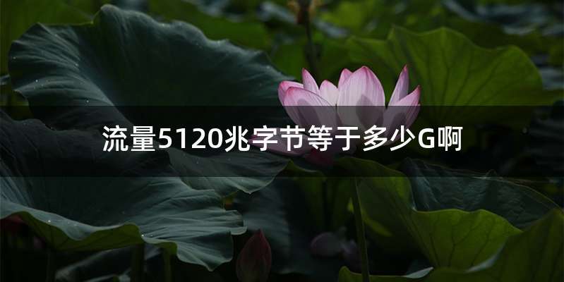 流量5120兆字节等于多少G啊