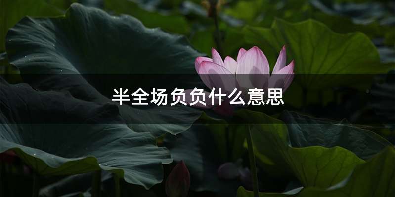 半全场负负什么意思