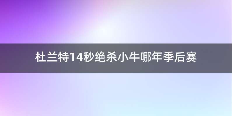 杜兰特14秒绝杀小牛哪年季后赛
