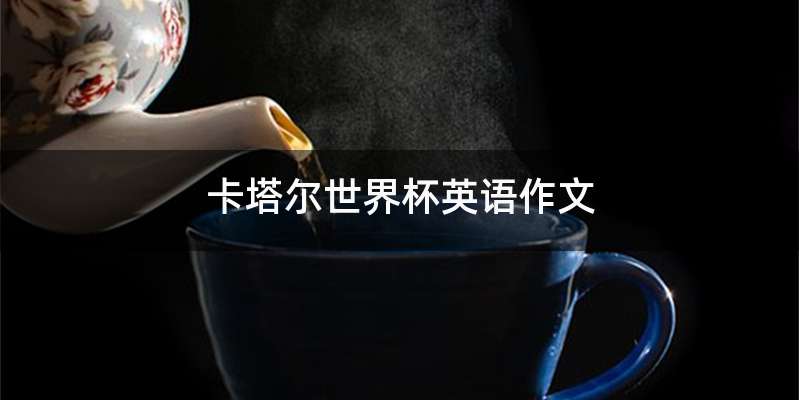 卡塔尔世界杯英语作文