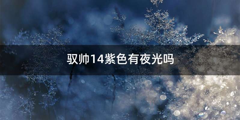 驭帅14紫色有夜光吗