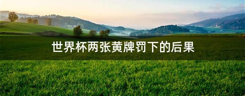 世界杯两张黄牌罚下的后果