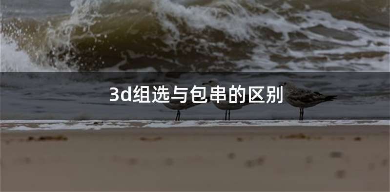 3d组选与包串的区别