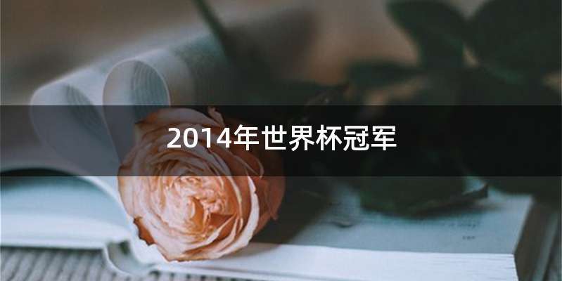 2014年世界杯冠军