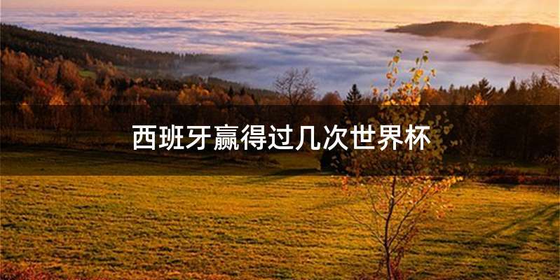 西班牙赢得过几次世界杯