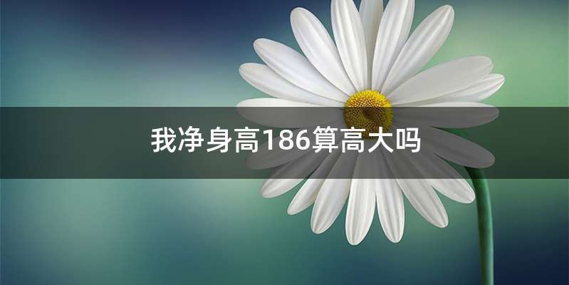 我净身高186算高大吗