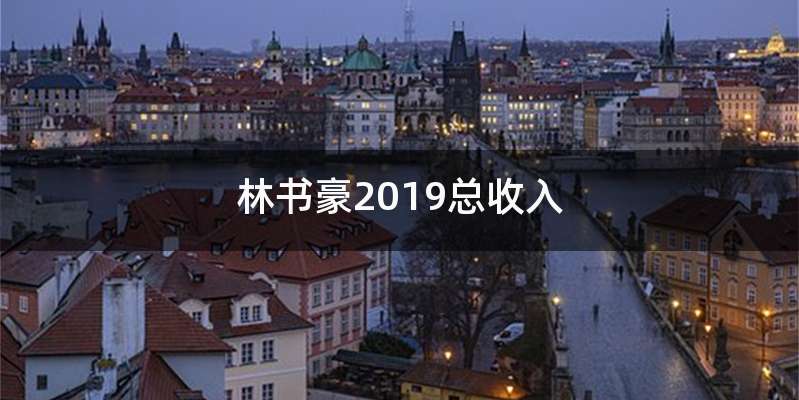 林书豪2019总收入