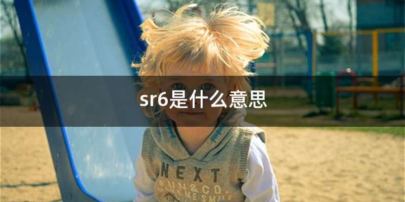 sr6是什么意思
