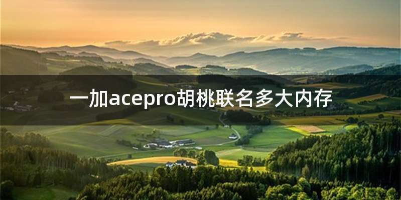 一加acepro胡桃联名多大内存
