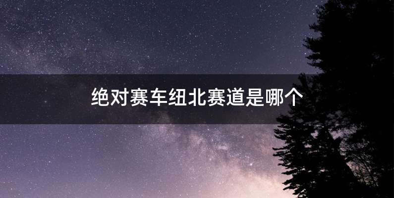 绝对赛车纽北赛道是哪个