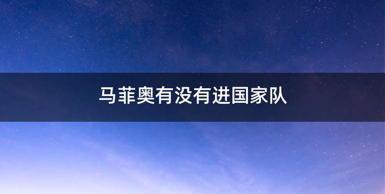 马菲奥有没有进国家队