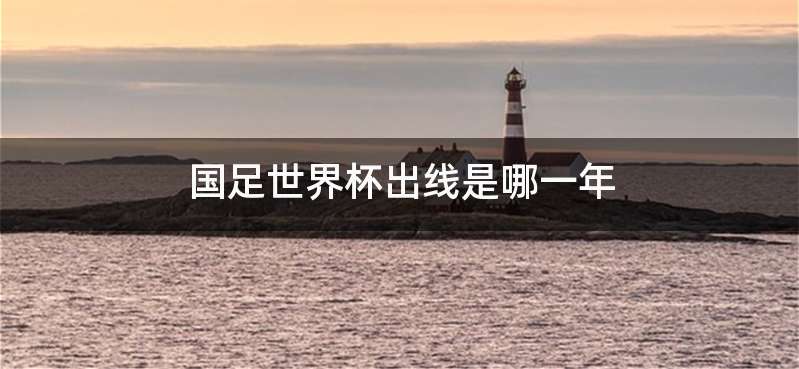 国足世界杯出线是哪一年