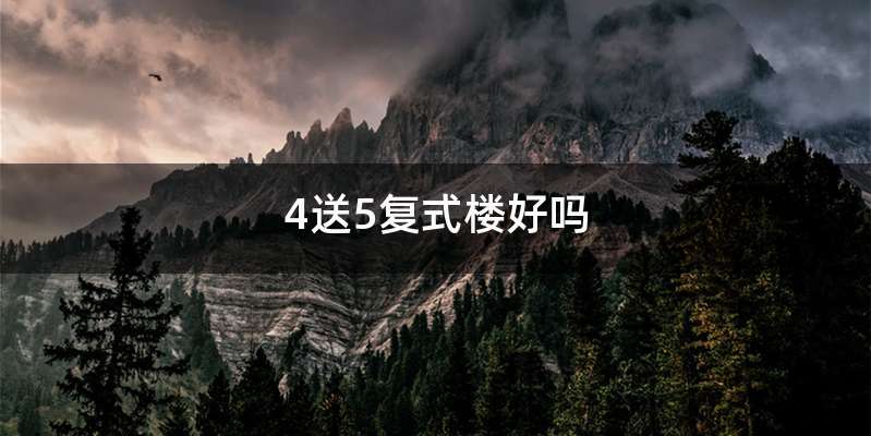 4送5复式楼好吗