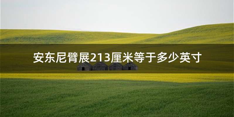 安东尼臂展213厘米等于多少英寸