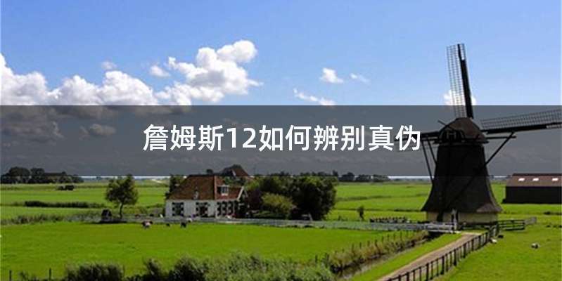 詹姆斯12如何辨别真伪