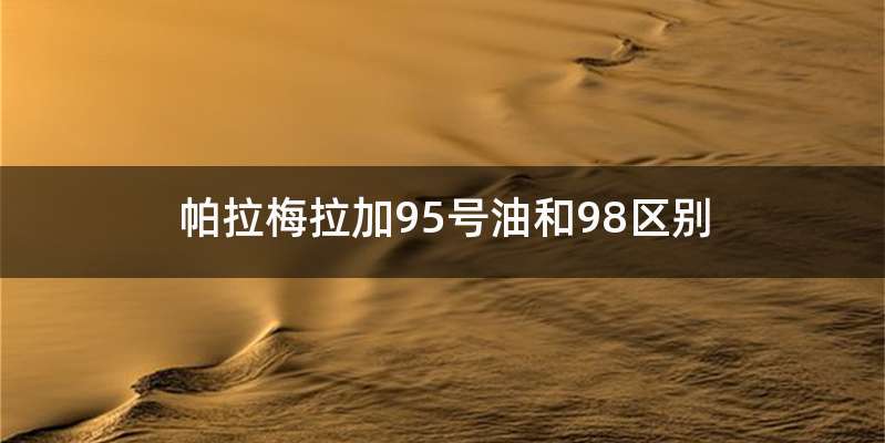 帕拉梅拉加95号油和98区别