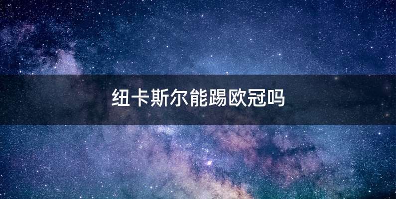 纽卡斯尔能踢欧冠吗