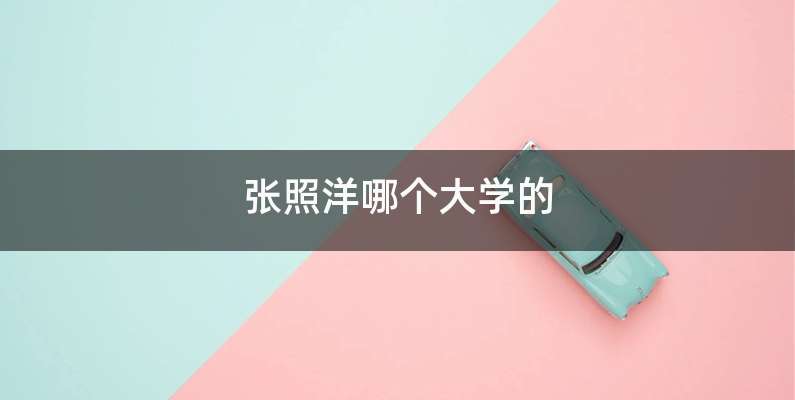 张照洋哪个大学的